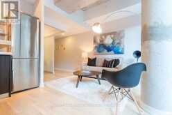 106 - 461 ADELAIDE STREET W Toronto