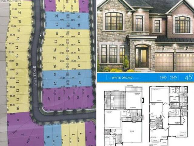 31 DOLOMITE DRIVE Brampton Ontario