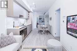 308 - 55 MERCER STREET Toronto