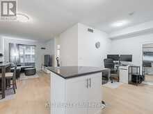 1727 - 250 WELLINGTON STREET W Toronto