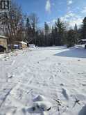 77 ANTIQUARY BEACH ROAD N Kawartha Lakes