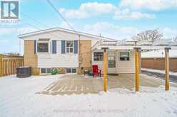 36 BENSHIRE DRIVE Toronto