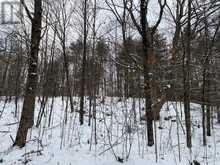 LOT # 1 - 4232 ARDOCH ROAD North Frontenac