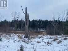 LOT # 1 - 4232 ARDOCH ROAD North Frontenac