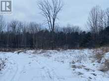 LOT # 1 - 4232 ARDOCH ROAD North Frontenac