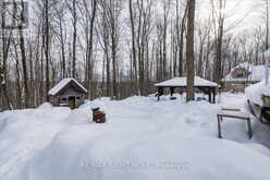 5 SNOWSHOE TRAIL Oro-Medonte