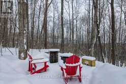 5 SNOWSHOE TRAIL Oro-Medonte