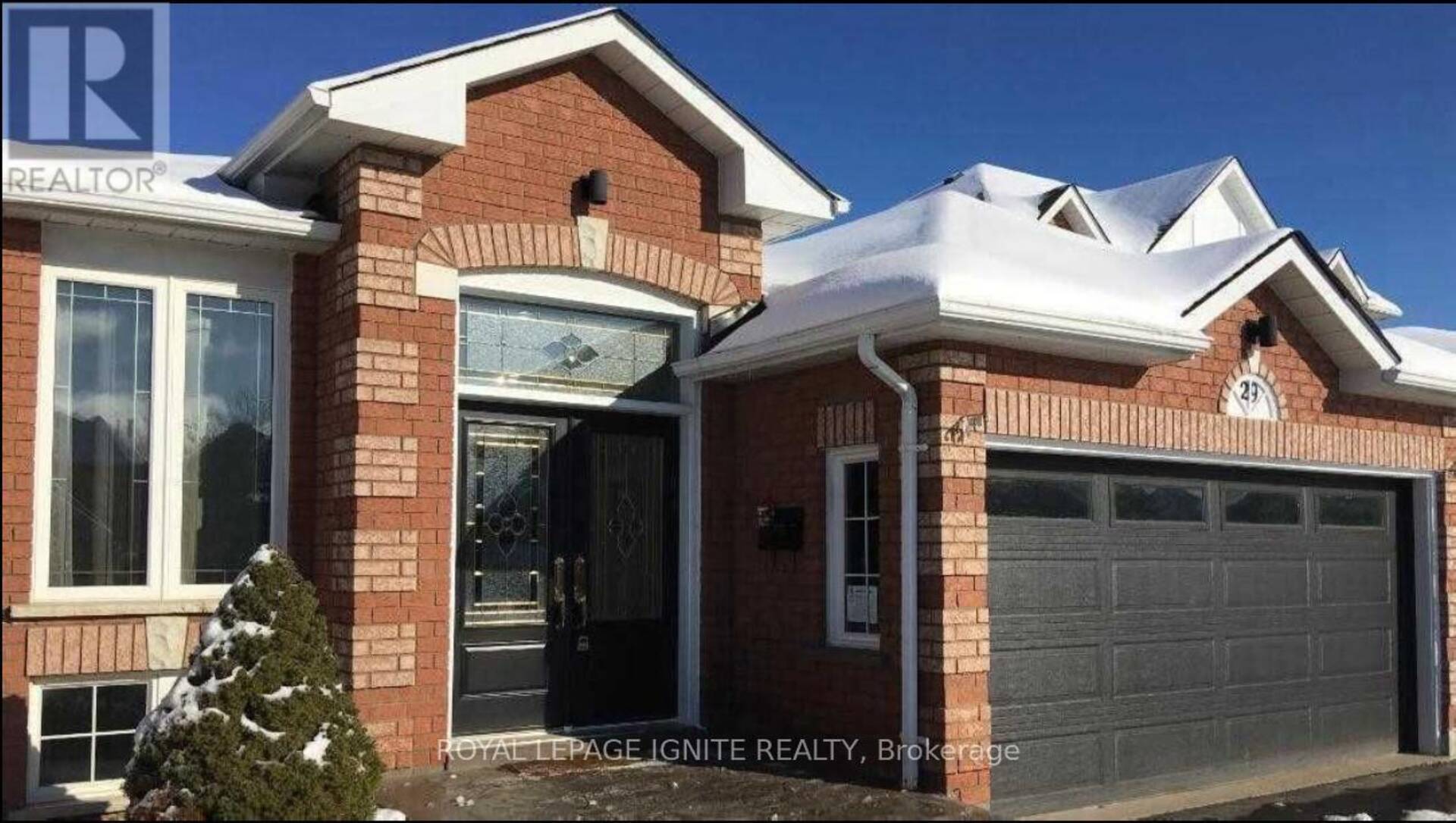 29 COLLEYVILLE STREET Brampton