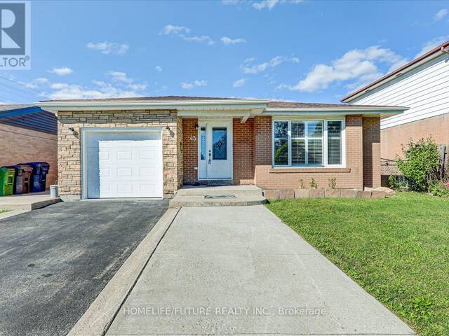 43 TAMARISK DRIVE Toronto Ontario