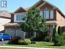 (BSMT) - 45 STONEYLAKE AVENUE Brampton