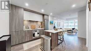 716 - 35 TUBMAN AVENUE Toronto