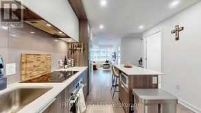 716 - 35 TUBMAN AVENUE Toronto