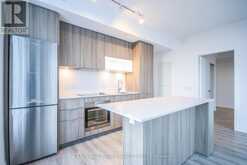 1509 - 20 TUBMAN AVENUE Toronto