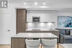 205 - 215 LAKESHORE ROAD W Mississauga