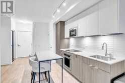 205 - 215 LAKESHORE ROAD W Mississauga