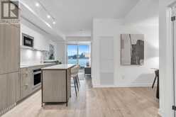 205 - 215 LAKESHORE ROAD W Mississauga