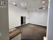 103 - 33 VILLIERS STREET Toronto