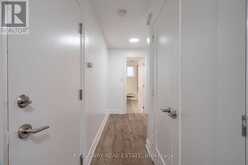 LOWER UNIT - 24 ALBANI STREET Toronto