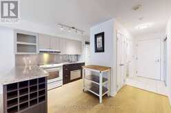 308 - 111 ELIZABETH STREET Toronto