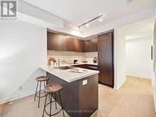 1201 - 21 WIDMER STREET Toronto