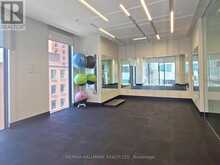 3010 - 87 PETER STREET Toronto