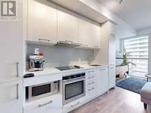 3010 - 87 PETER STREET Toronto