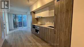 1709 - 138 DOWNES STREET Toronto