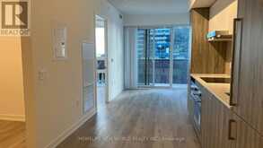 1709 - 138 DOWNES STREET Toronto