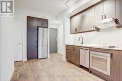 1005 - 9 TECUMSETH STREET Toronto