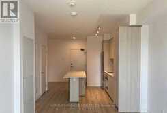 1002 - 20 TUBMAN AVENUE Toronto