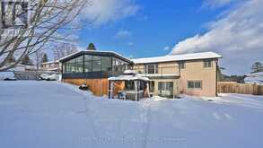 119 CORBETT DRIVE Kawartha Lakes