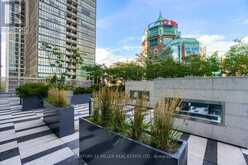 1001 - 101 CHARLES STREET E Toronto