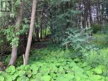 LOT 18 NORTHSIDE ROAD Kawartha Lakes