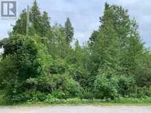 LOT 18 NORTHSIDE ROAD Kawartha Lakes