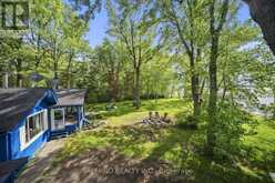 161 CAMPBELL BEACH ROAD Kawartha Lakes