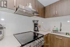 1705 - 219 DUNDAS STREET E Toronto