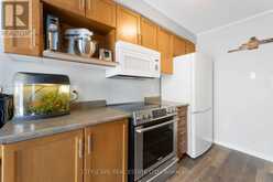 14 - 76 FRANCES AVENUE Hamilton