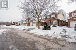 54 FERRI CRESCENT Brampton