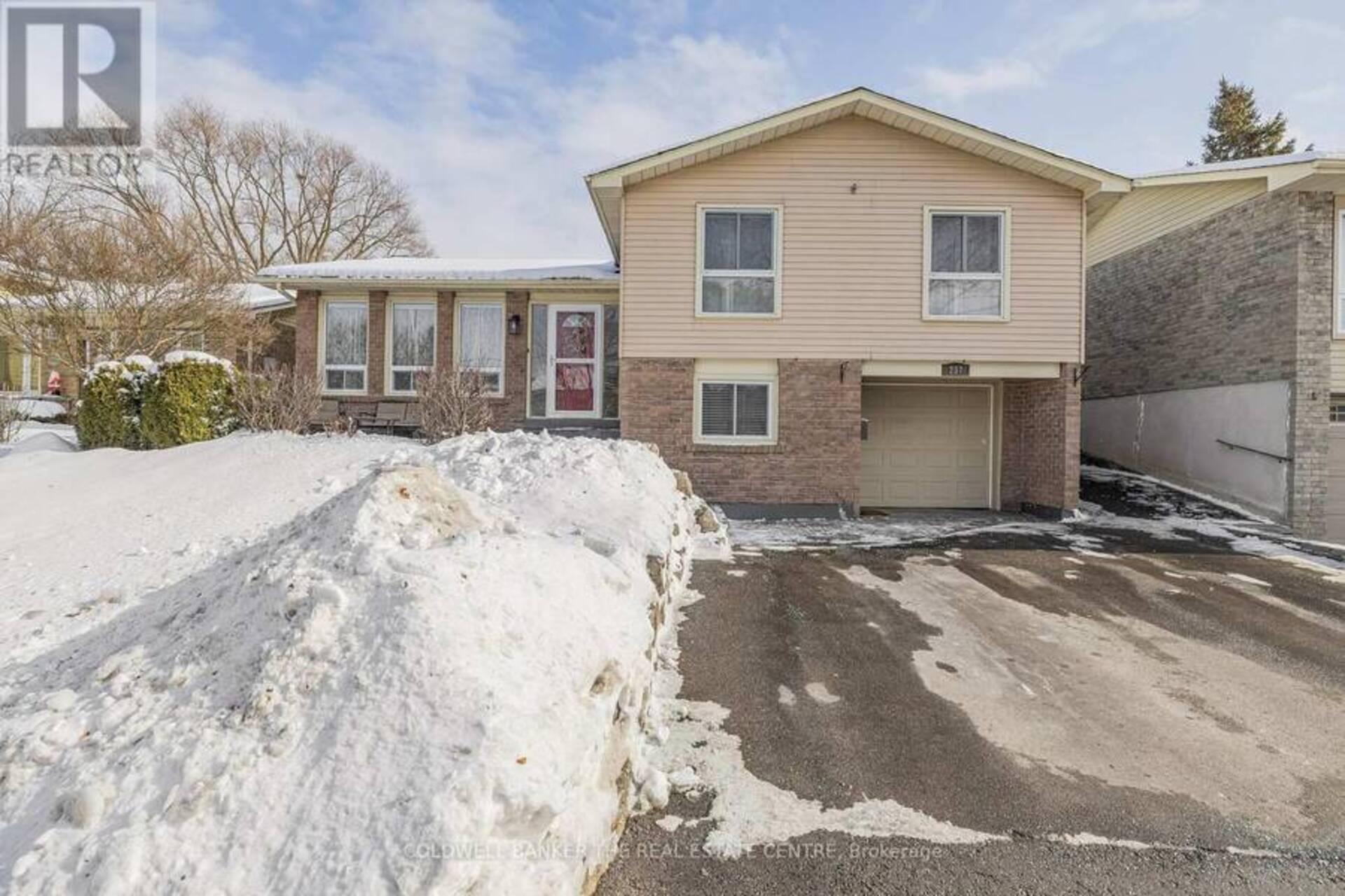 237 PATTERSON STREET Newmarket