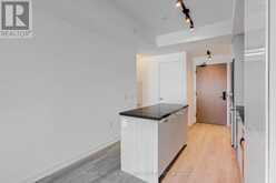 910 - 195 MCCAUL STREET Toronto