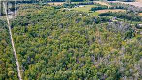 401 RIDGE ROAD W Oro-Medonte