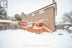 131 MCMURCHY AVENUE S Brampton