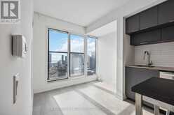 5007 - 181 DUNDAS STREET Toronto