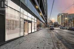 5007 - 181 DUNDAS STREET Toronto