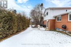 16 WOOSTER WOOD Toronto