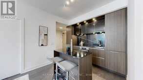 1613 - 35 MERCER STREET Toronto