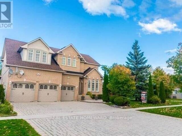 LOWER - 669 FOXCROFT BOULEVARD Newmarket Ontario