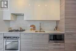 101 - 530 INDIAN GROVE Toronto