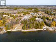 220 MCGUIRE BEACH ROAD Kawartha Lakes