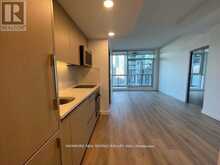 1205 - 38 WIDMER STREET Toronto